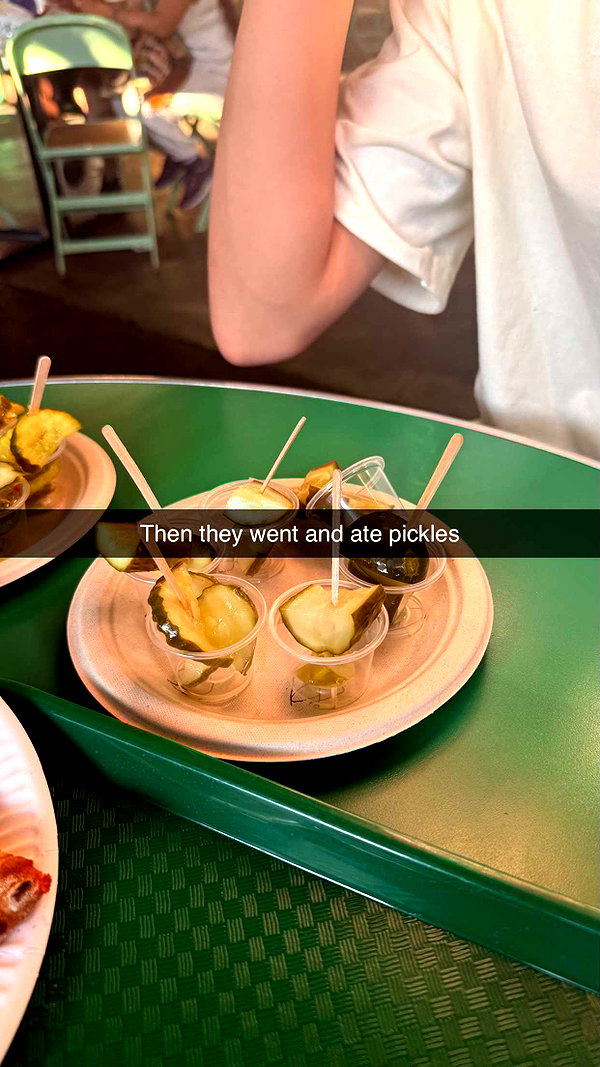 camilla_classy snapchat image archive image