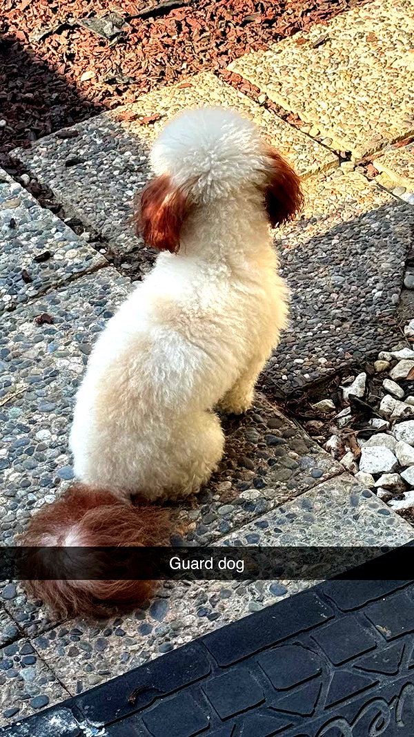 camilla_classy snapchat image archive image