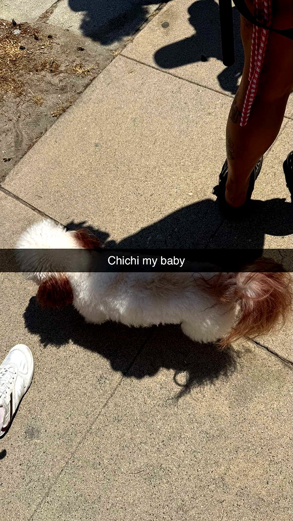 camilla_classy snapchat image archive image