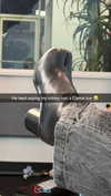 camilla_classy Altpins Profile Picture