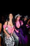 camilla_classy Altpins Profile Picture