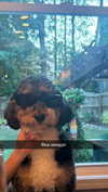 camilla_classy Altpins Profile Picture