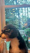 camilla_classy Altpins Profile Picture