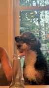camilla_classy Altpins Profile Picture