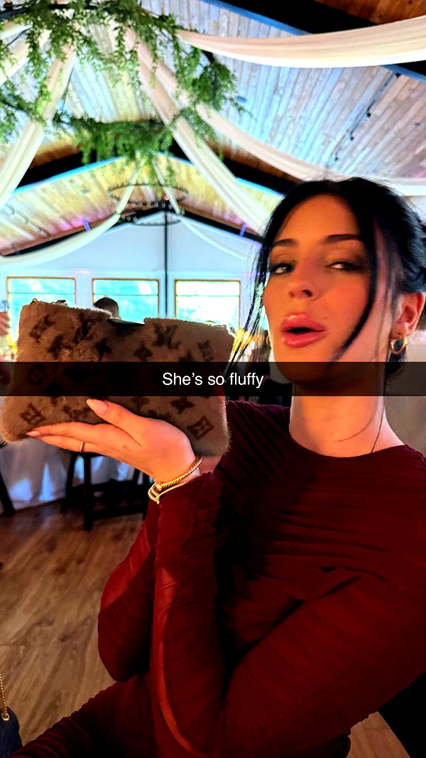 camilla_classy snapchat image archive image