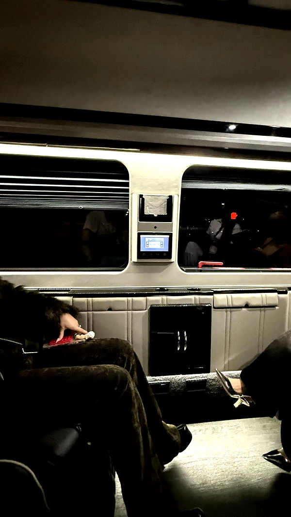 camilla_classy image ~ Altpins