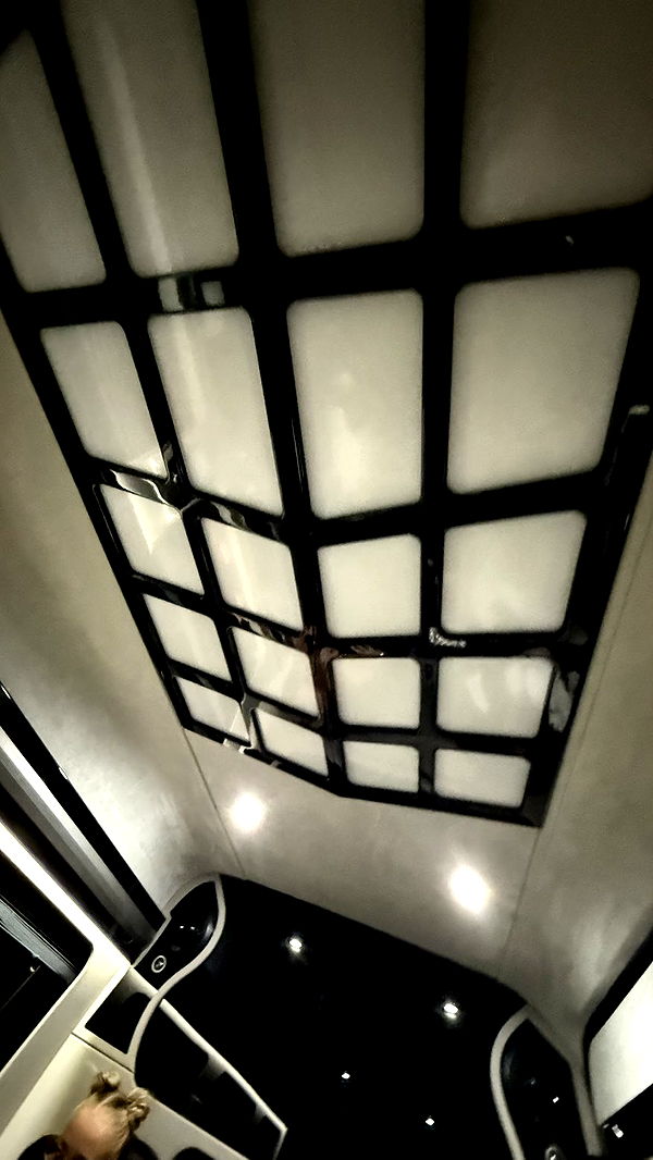 camilla_classy image ~ Altpins