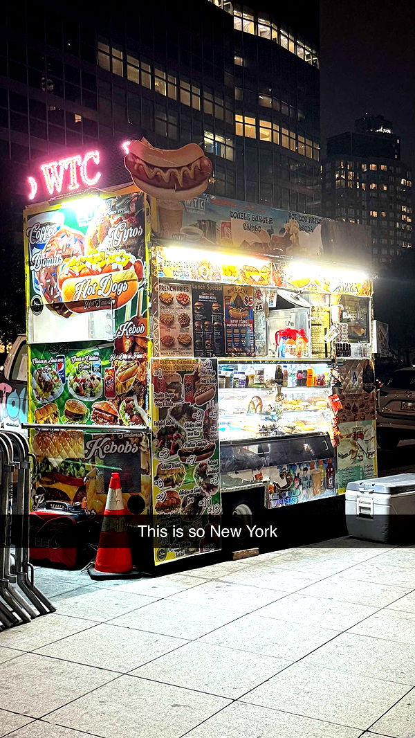 camilla_classy image ~ Altpins