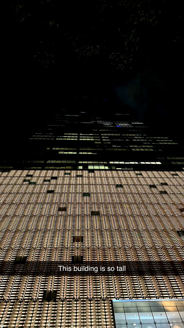 camilla_classy image ~ Altpins