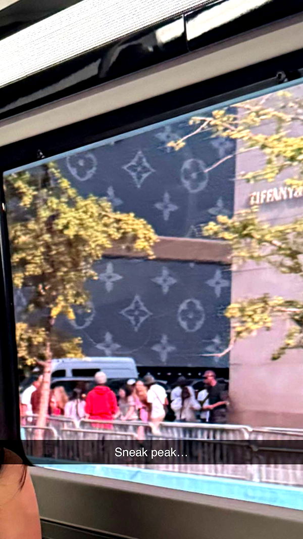 camilla_classy image ~ Altpins