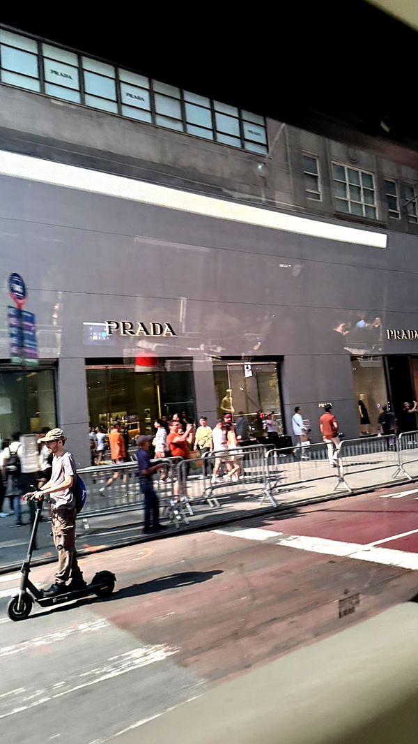 camilla_classy image ~ Altpins