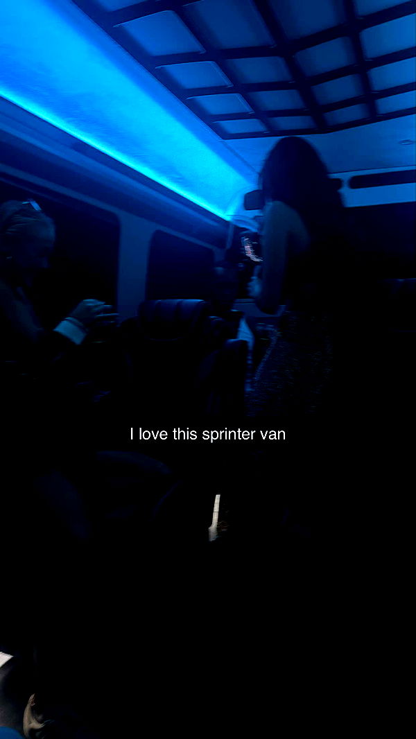 camilla_classy image ~ Altpins