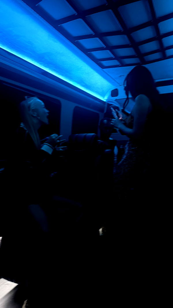 camilla_classy image ~ Altpins