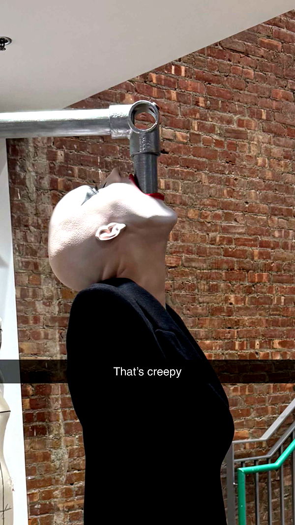 camilla_classy image ~ Altpins