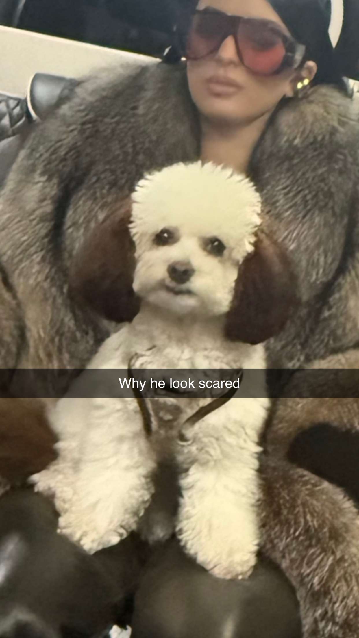 camilla_classy snapchat image archive image