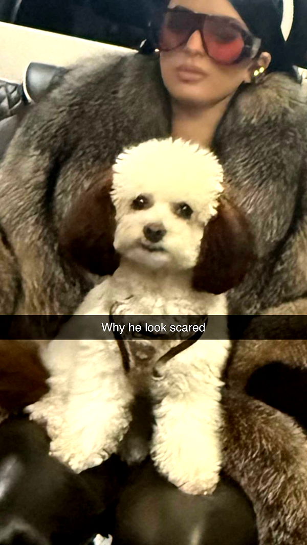 camilla_classy image ~ Altpins