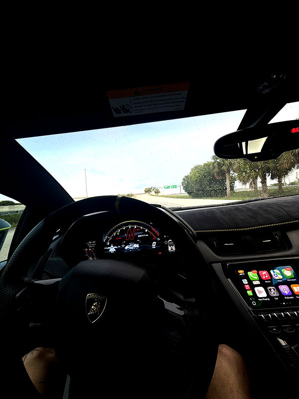 camilla_classy image ~ Altpins