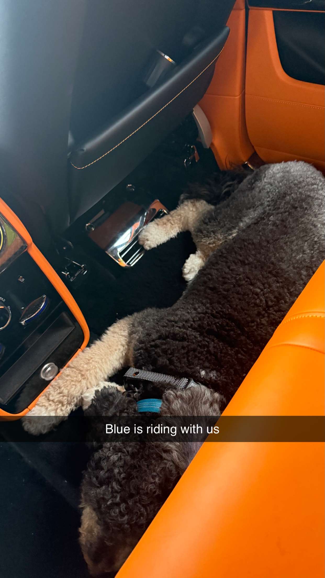 camilla_classy snapchat image archive image