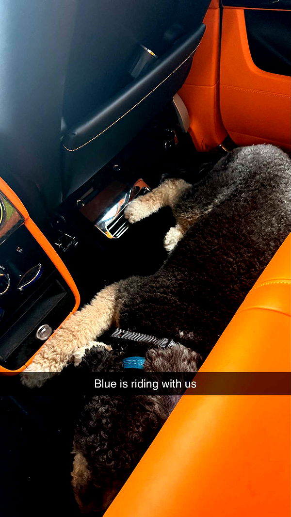 camilla_classy image ~ Altpins