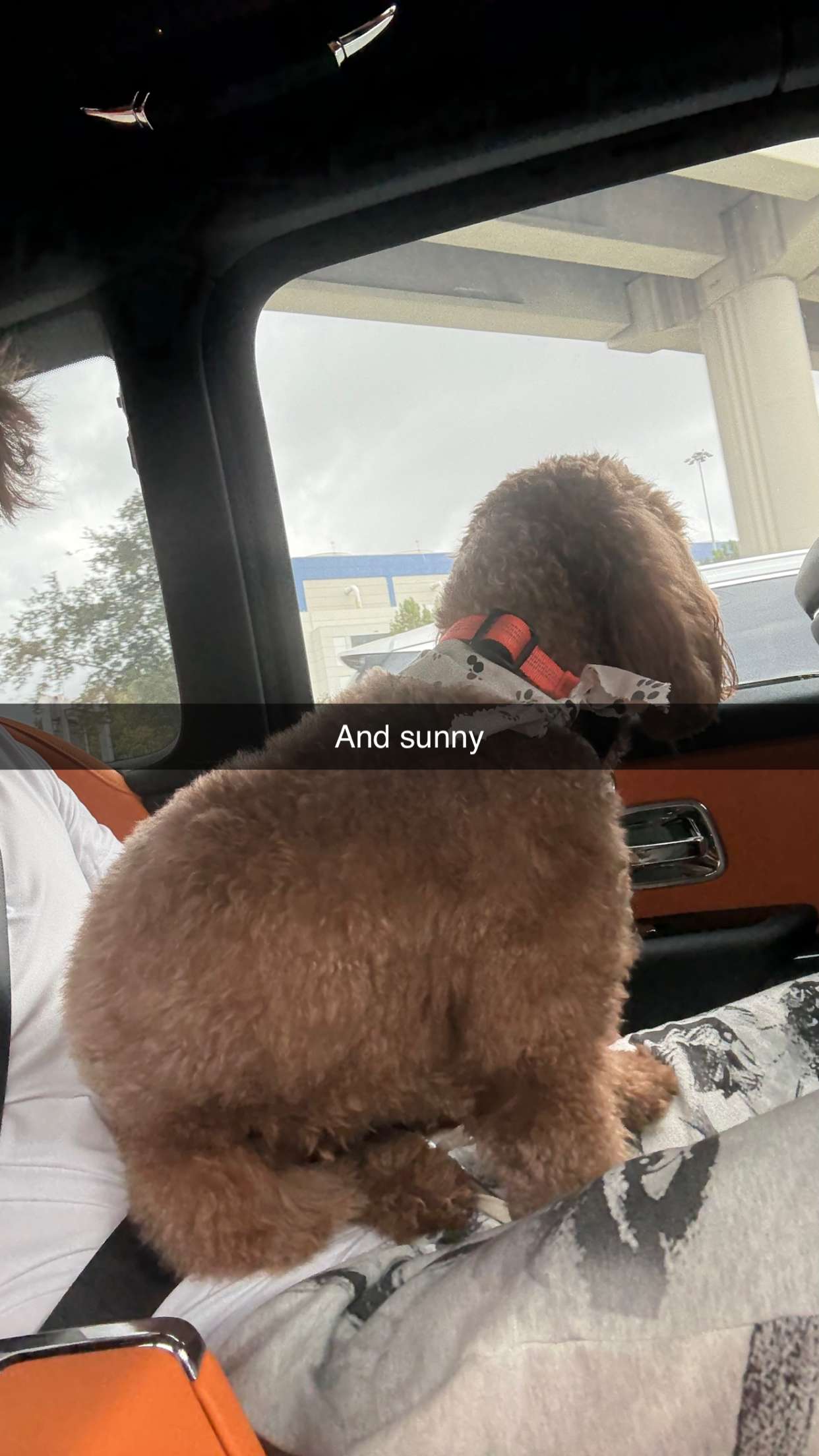 camilla_classy snapchat image archive image