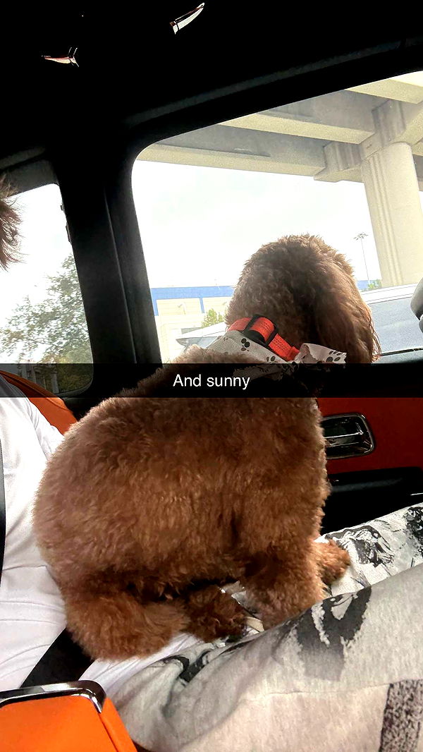 camilla_classy image ~ Altpins