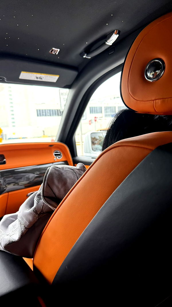 camilla_classy image ~ Altpins