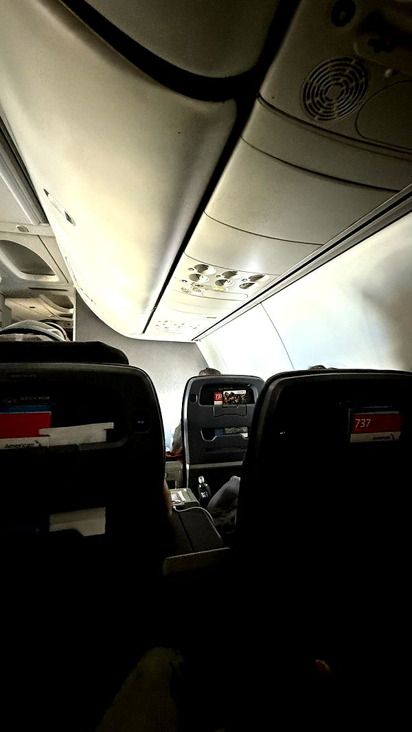 camilla_classy image ~ Altpins