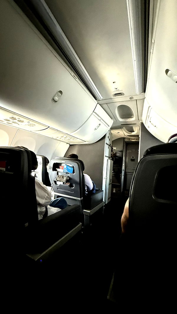 camilla_classy image ~ Altpins