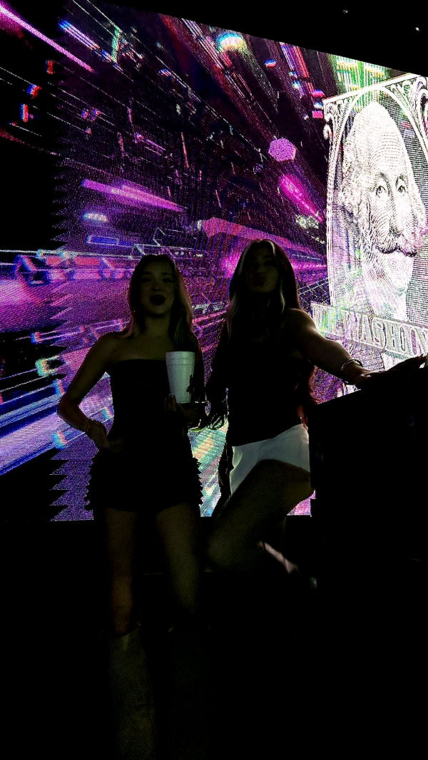 camilla_classy image ~ Altpins