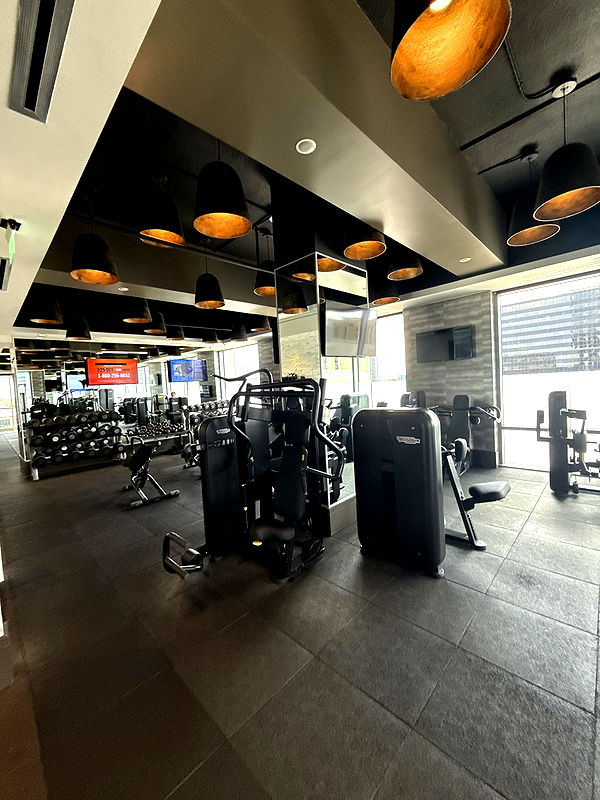 camilla_classy image ~ Altpins