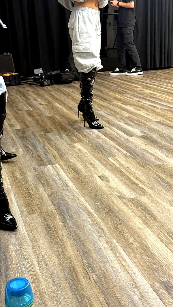 camilla_classy image ~ Altpins