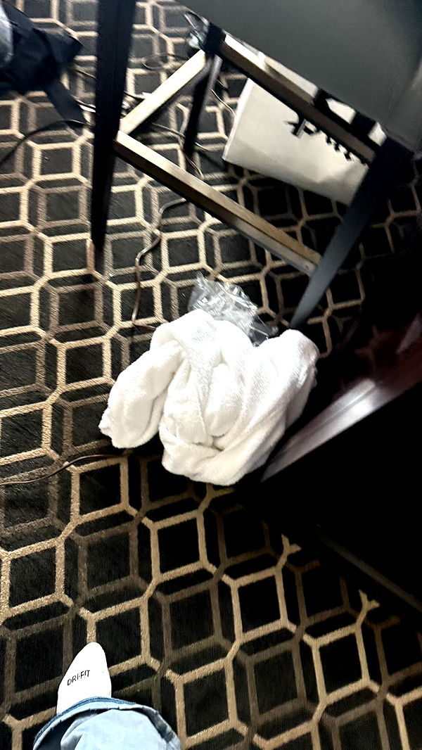 camilla_classy image ~ Altpins