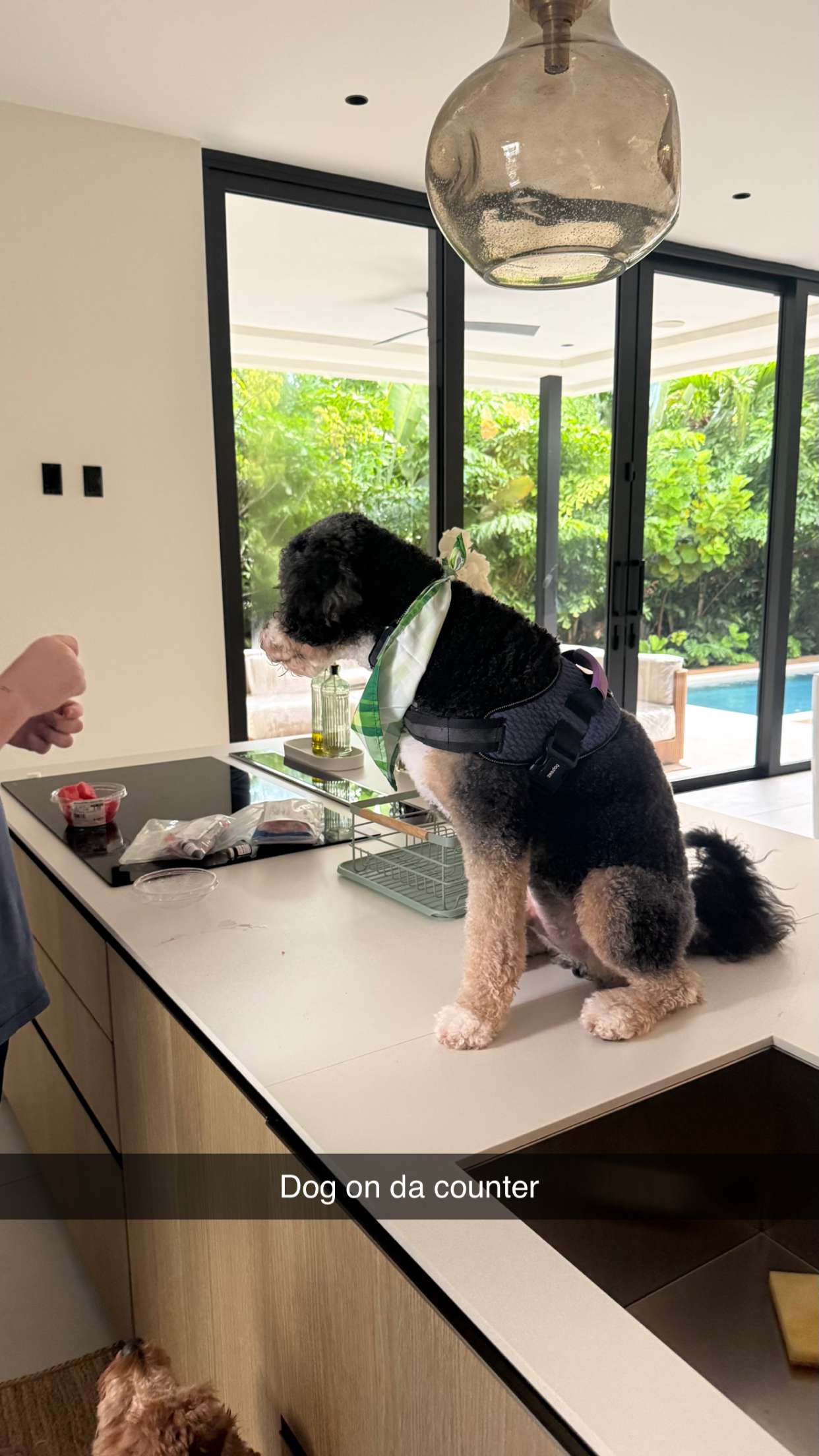 camilla_classy snapchat image archive image