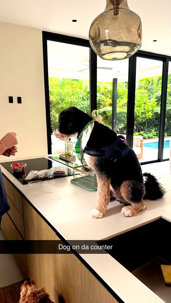 camilla_classy image ~ Altpins