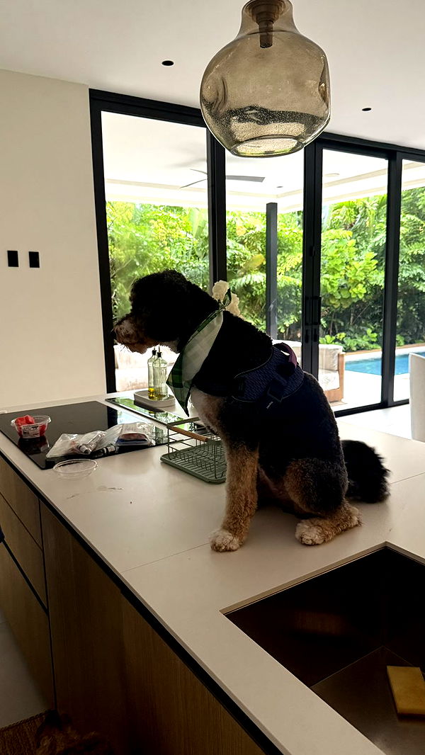 camilla_classy image ~ Altpins