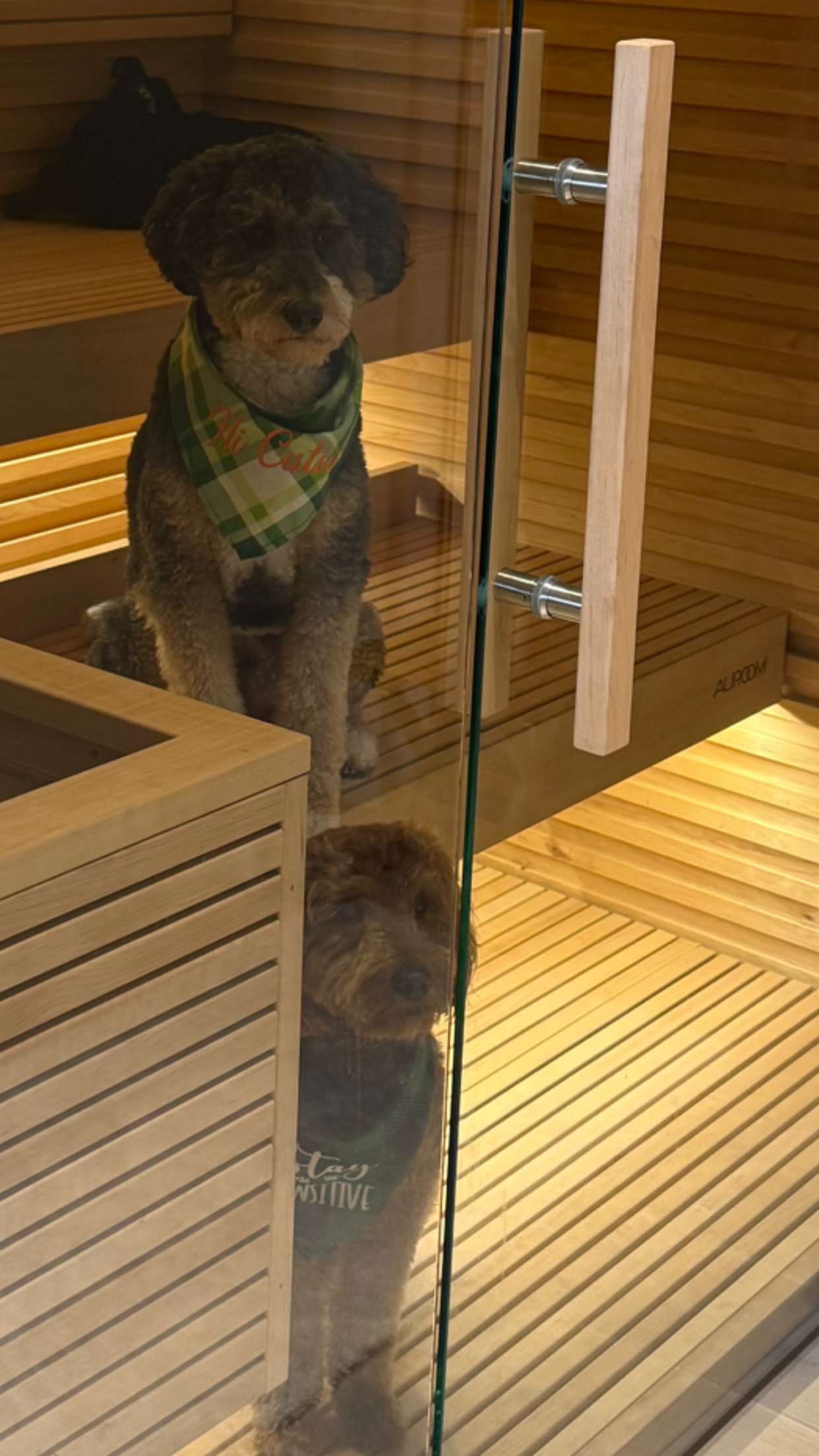 camilla_classy snapchat image archive image