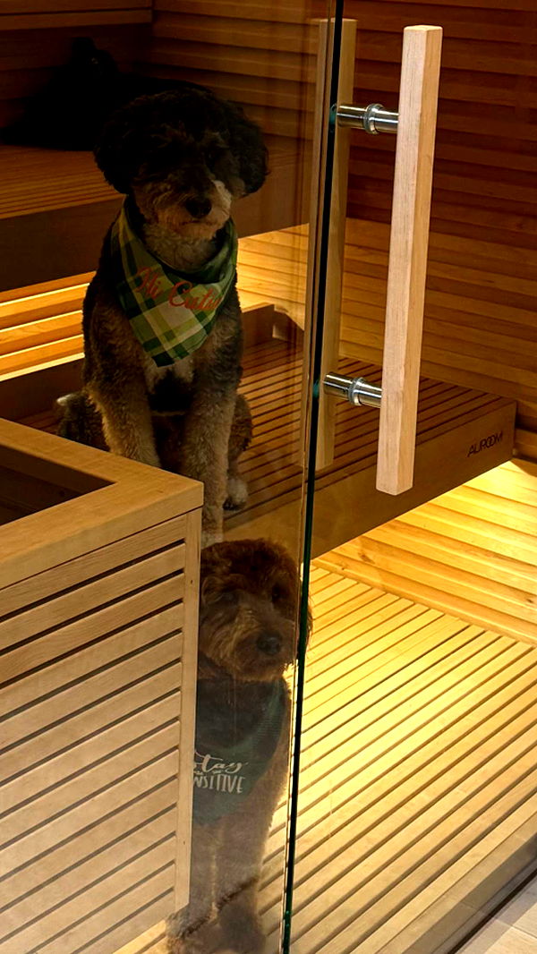 camilla_classy image ~ Altpins