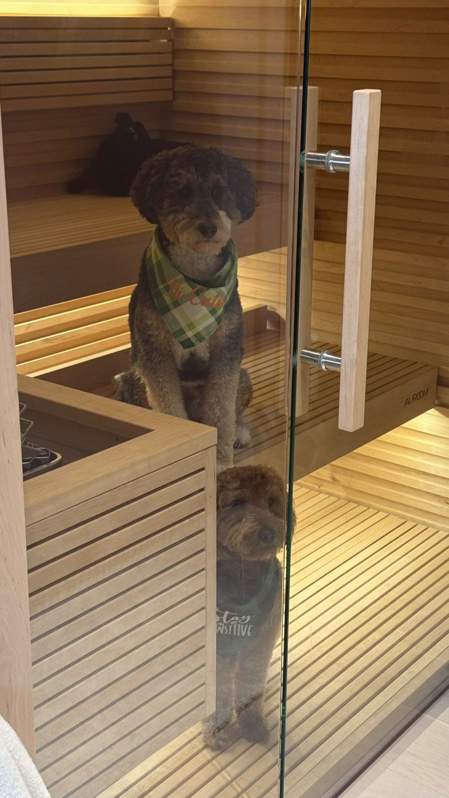 camilla_classy snapchat image archive image