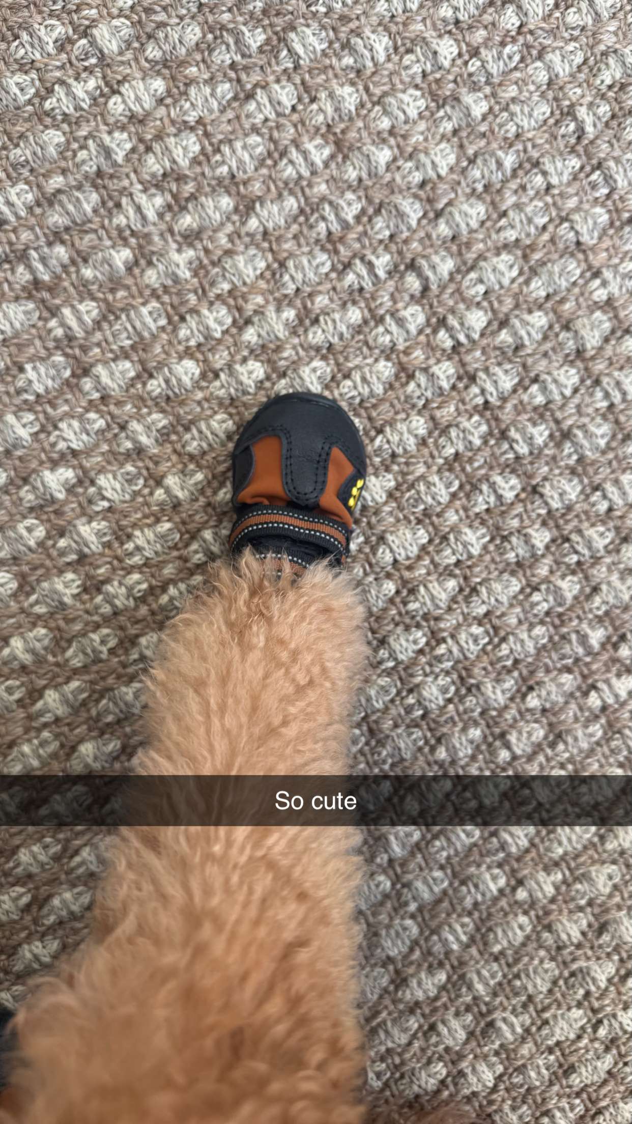 camilla_classy snapchat image archive image