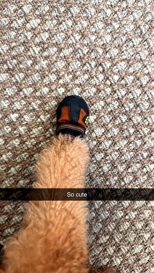 camilla_classy image ~ Altpins