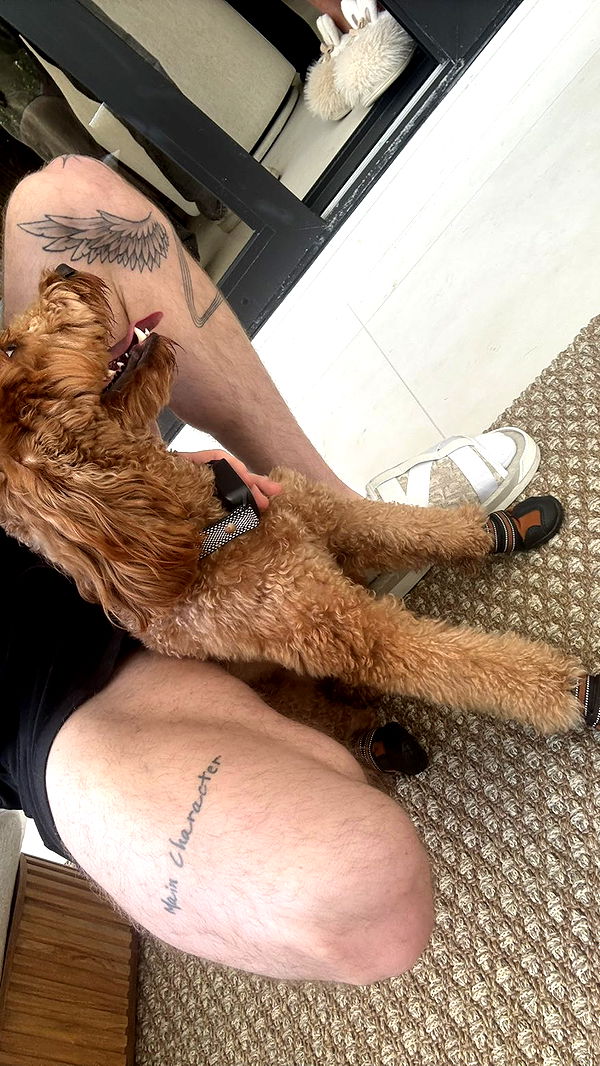 camilla_classy image ~ Altpins