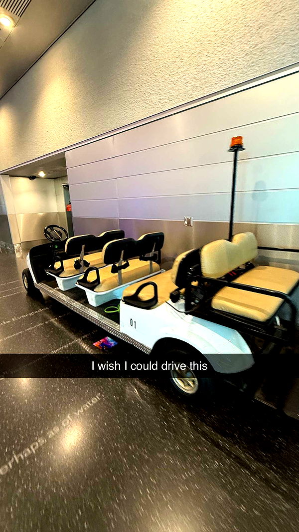 camilla_classy image ~ Altpins