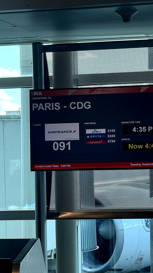 camilla_classy image ~ Altpins