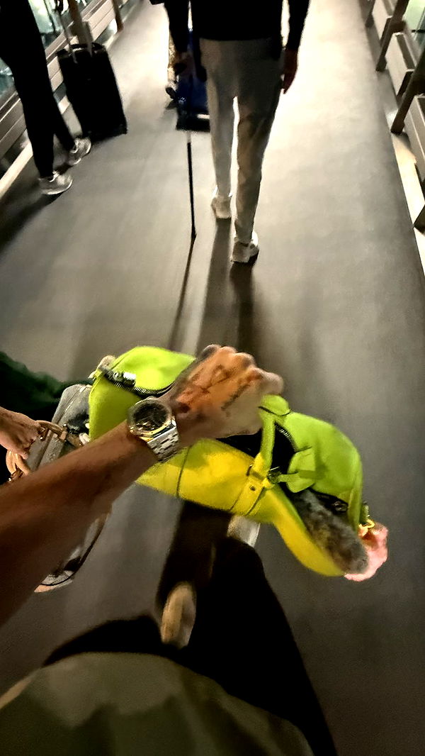 camilla_classy image ~ Altpins