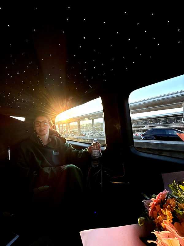 camilla_classy image ~ Altpins