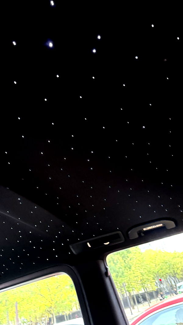 camilla_classy image ~ Altpins