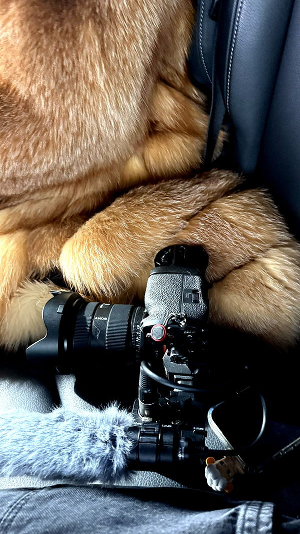 camilla_classy image ~ Altpins