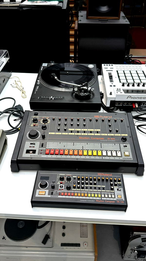 camilla_classy image ~ Altpins