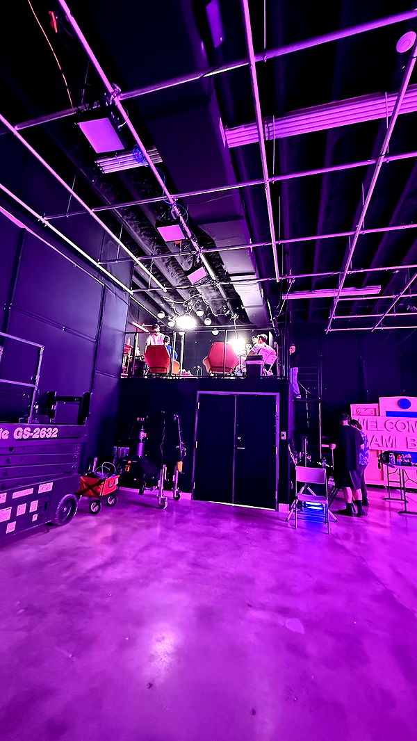 camilla_classy image ~ Altpins