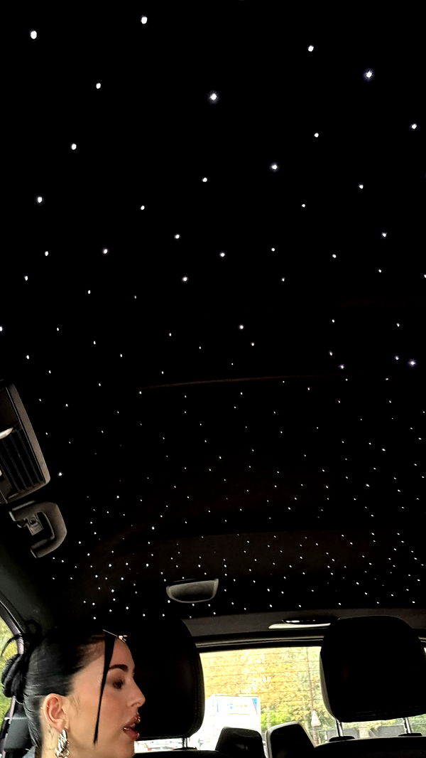 camilla_classy image ~ Altpins